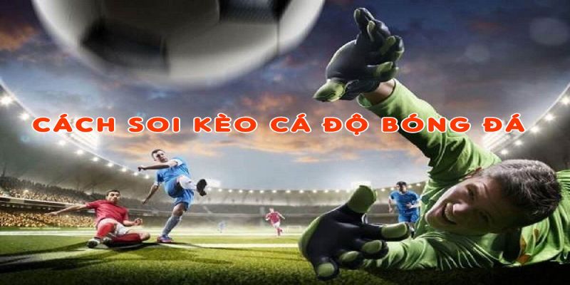 Cách soi kèo bóng đá - Đọc kèo chuẩn, chốt kèo chắc thắng