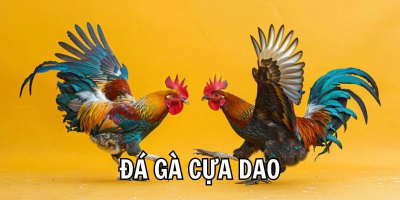 Đá Gà Cựa Dao – Trải Nghiệm Game Kịch Tính Tại Iwinclub