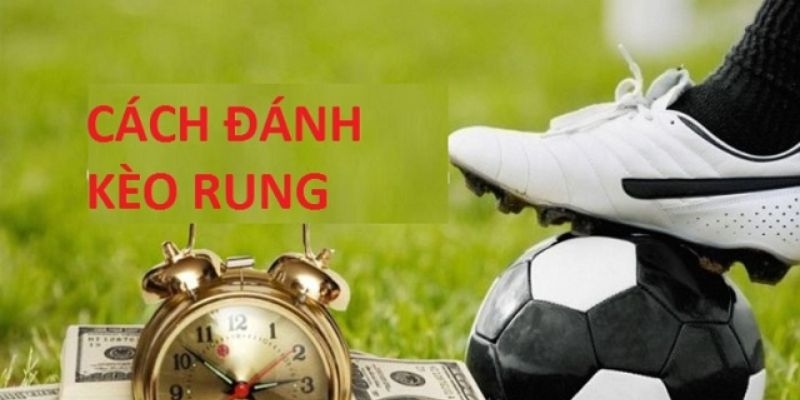 Kinh nghiệm chơi cược rung hiệu quả