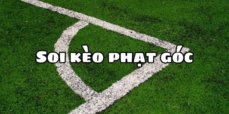 Đặt Quá Nhiều Kèo Cùng Lúc 