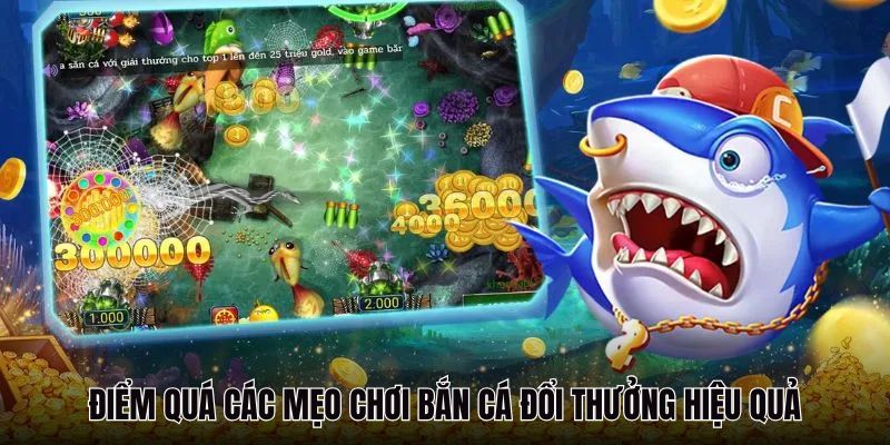 Mẹo tham gia chơi bắn cá Sunwin giúp ăn xu hiệu quả