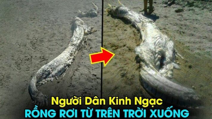 Bí Ẩn Thế Giới: Sự Kiện Yingkou 1934 Là Gì? - BeportSquad