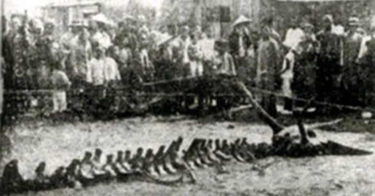 4 bi an kho giai nhat tai trung quoc chuyen gia nhun nao Hinh 7