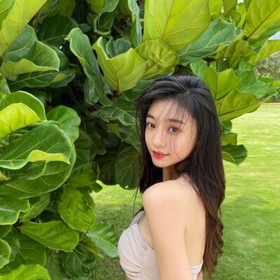 yimengling 1588249528 2298726110387839071 1112102986
