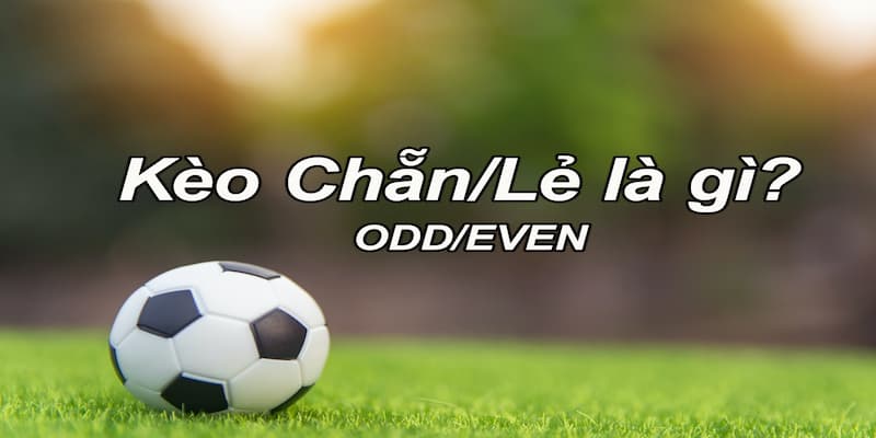 Kèo chẵn lẻ 7m là gì? Cách chơi khôn ngoan thắng lớn
