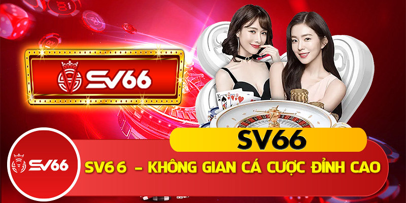 Discover Sports SV66