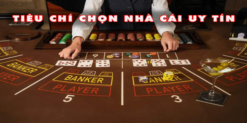 Lưu ý khi tham gia cá cược tại nhà cái cá cược
