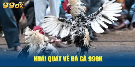 Đá Gà 99ok – Những Trận Đấu Hấp Dẫn Không Th Bỏ Qua