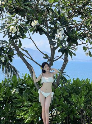 476236055 986031710095146 2278636954776902480 n