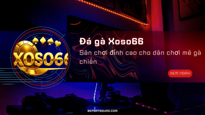 Đá gà Xoso66 – Sân chơi đỉnh cao cho dân chơi mê gà chiến