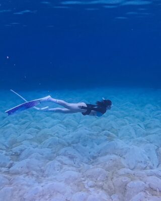 minhhang2206 1714637306 3358943636028269215 1126965327