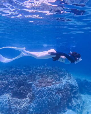 minhhang2206 1714637306 3358943636036521812 1126965327