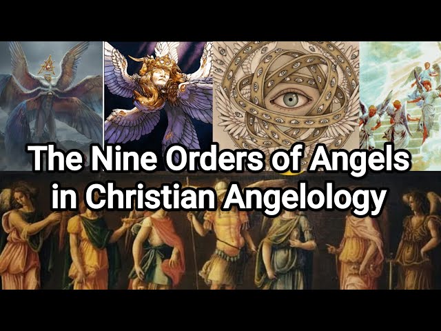 Các phân ngành nghiên cứu chính