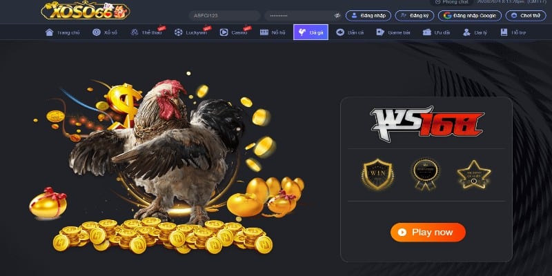 So sánh đá gà Campuchia và đá gà Thomo trên Xoso66