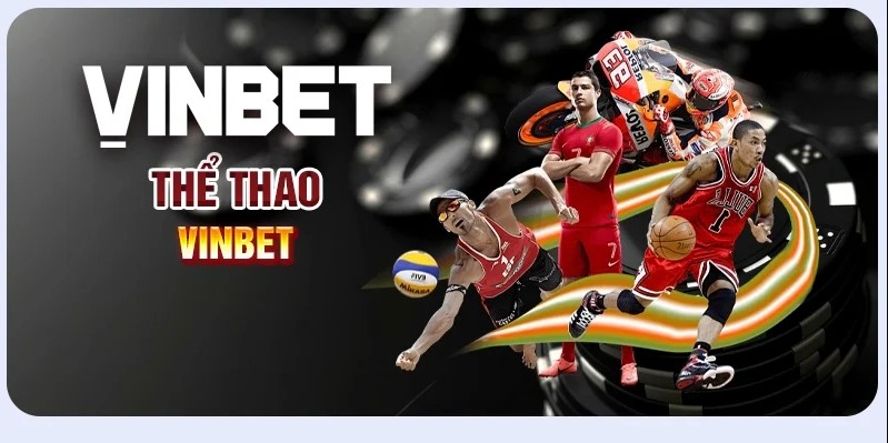 Đa Dạng Môn Thể Thao, Trọn Vẹn Trải Nghiệm Chỉ Có Ở Vinbet