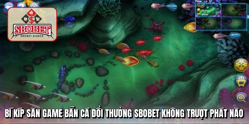 Bí kíp săn game bắn cá đổi thưởng Sbobet không trượt phát nào