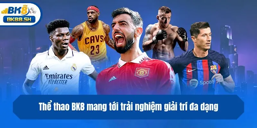 Ưu điểm – tốc độ, sự rõ ràng và trải nghiệm thuyết phục