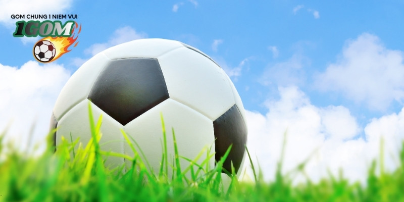 Chọn đúng thời điểm vào tiền theo lời khuyên từ chuyên gia 1GOM