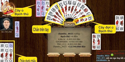 Hướng dẫn xếp và quản lý bộ bài trên tay