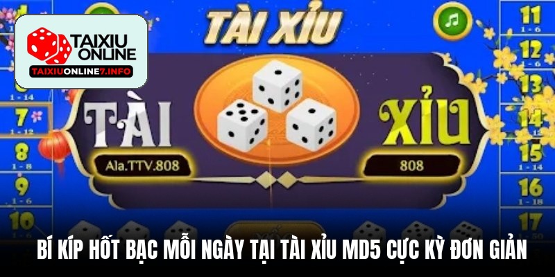 Bí kíp hốt bạc mỗi ngày tại Tài Xỉu MD5 cực kỳ đơn giản