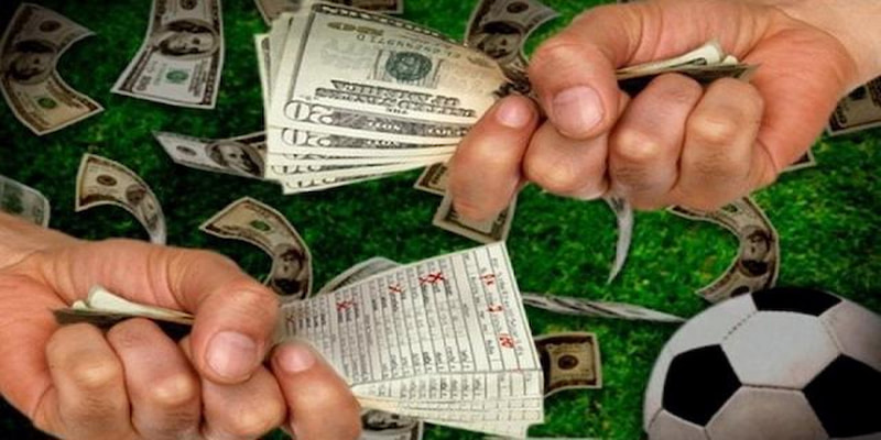 Điểm danh các môn thể thao được quan tâm nhiều tại Nohu